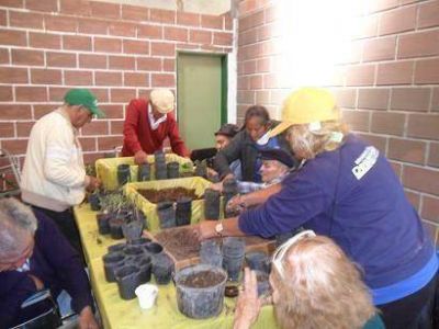 Clases Sobre El Desarrollo De Flores Arom�ticas Y Medicinales Para La Tercera Edad
