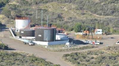 Aunque cambi� la relaci�n con YPF, sigue la licitaci�n de �reas revertidas