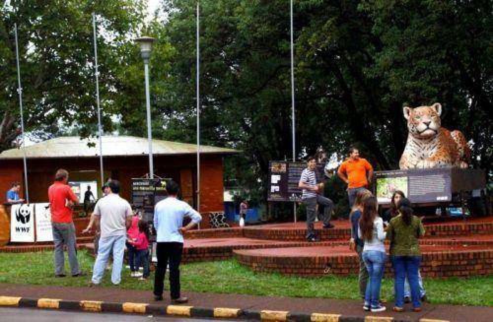 M�s de 13.000 personas firmaron el petitorio por la conservaci�n del yaguaret� en el norte de Misiones