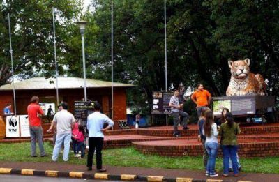 M�s de 13.000 personas firmaron el petitorio por la conservaci�n del yaguaret� en el norte de Misiones