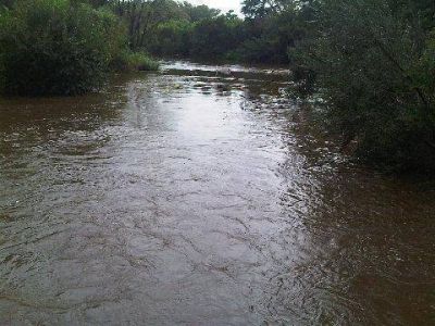 Distintas entidades acordaron iniciar acciones concretas para salvar al R�o