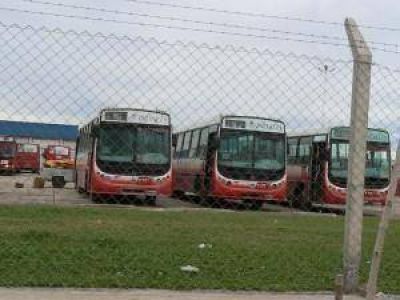 �Lo �nico que cambi� fue el color del colectivo�