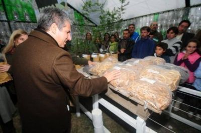 Claudio Poggi: �Hoy fundar un invernadero es fundar una f�brica de plantas�