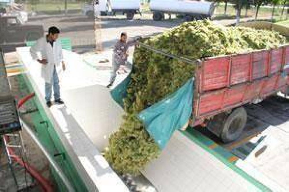  Destinar�n 13 millones de pesos para el Operativo Mosto