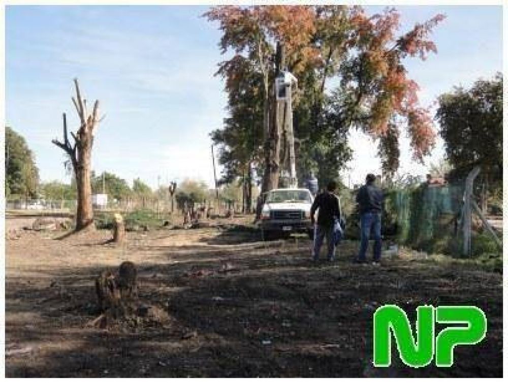 DESMALEZAN EN LA CALLE LOS OLIVOS, EN TORTUGUITAS