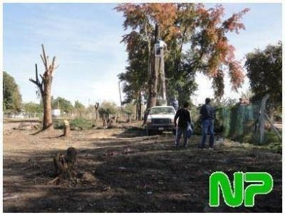 DESMALEZAN EN LA CALLE LOS OLIVOS, EN TORTUGUITAS