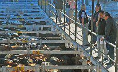 En medio del paro del Campo, suben los precios en Liniers 