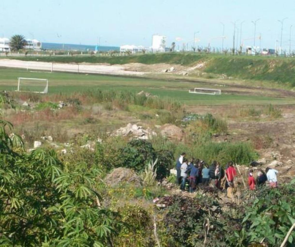 Ante avances de topadoras, sembraron nuevas plantas en Reserva Natural del Puerto