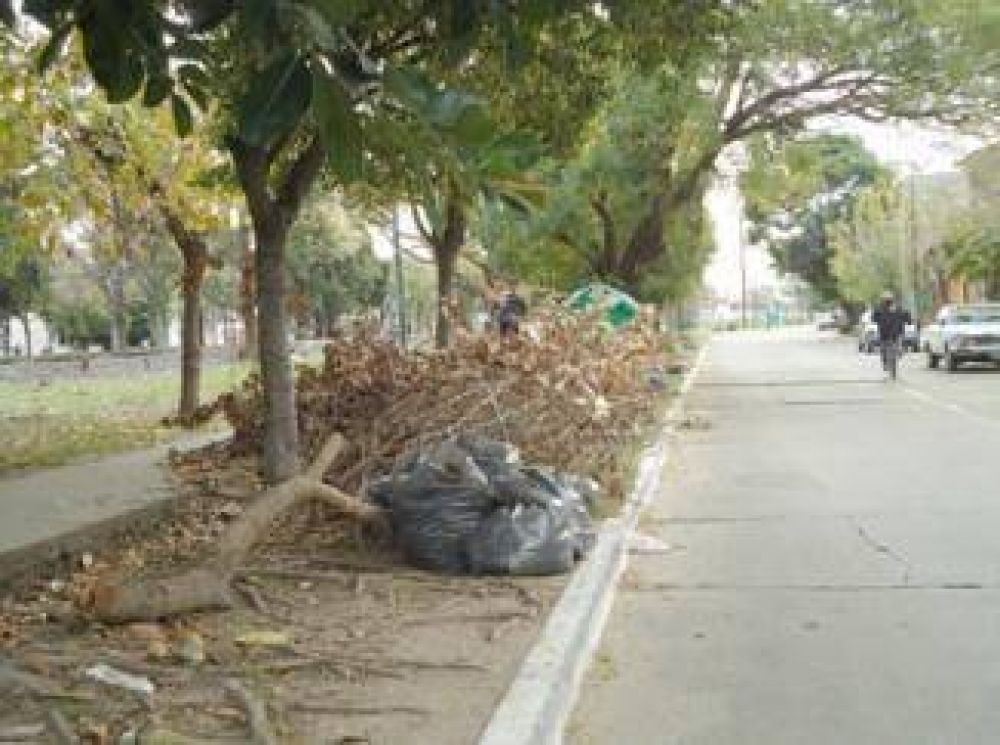 Basura y ramas por doquier