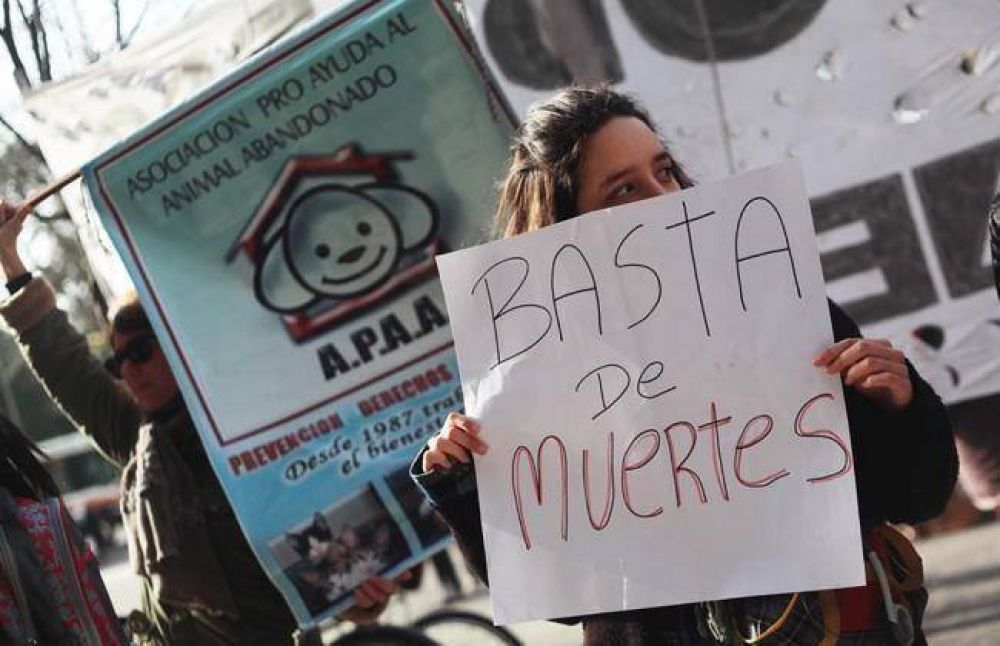 La tenencia de mascotas, en an�lisis