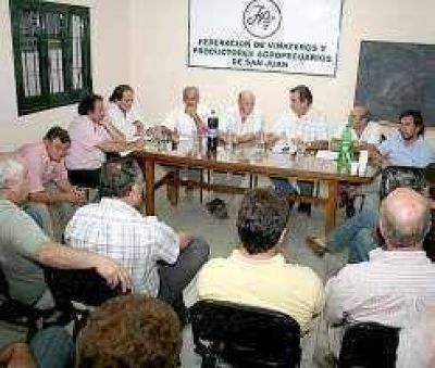 El gobierno se mantiene firme con el kilo de uva a $0,55.