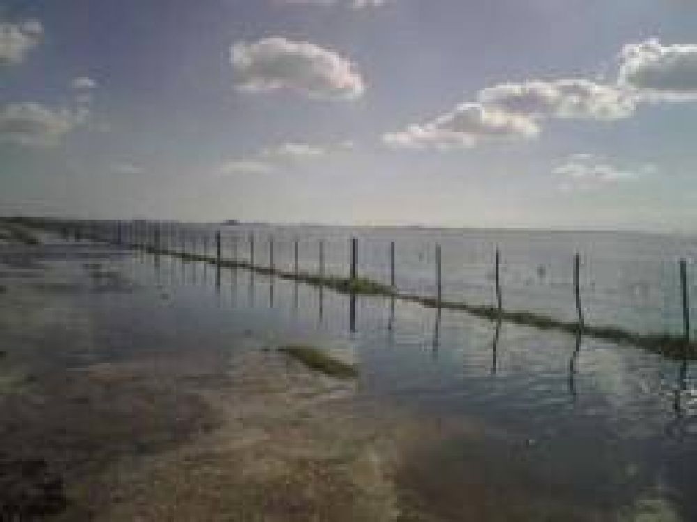 700.000 hect�reas inundadas en Bol�var, Pehuaj� y Carlos Casares