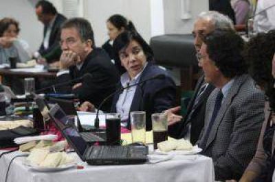 Contin�a el alerta ante posibles casos de dengue.