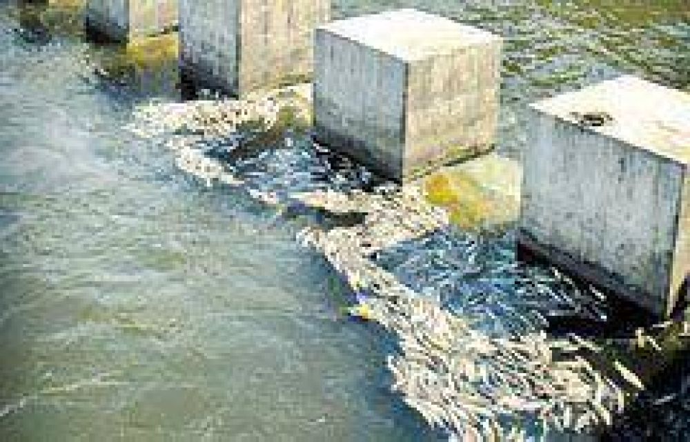 Llevar�n el problema del embalse a la Corte Suprema. 