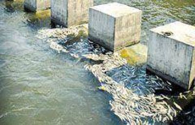 Llevar�n el problema del embalse a la Corte Suprema. 