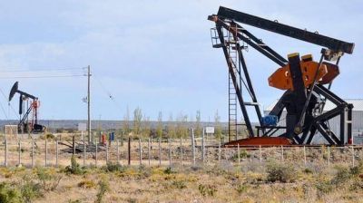 Peralta estima que YPF invertir� 200 millones de d�lares en Santa Cruz
