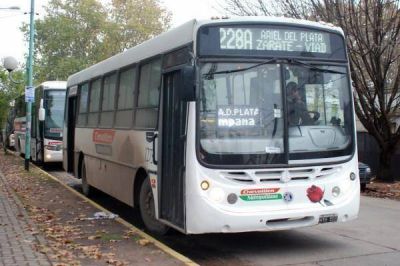 Ya funciona la nueva l�nea de transporte