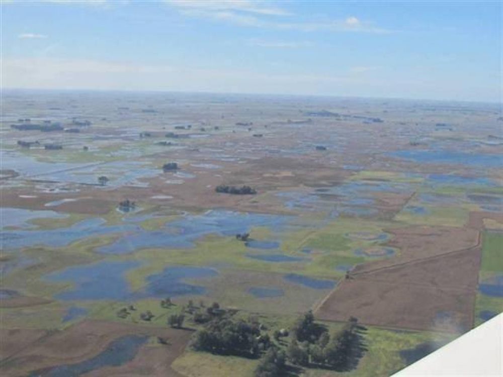 El Inmobiliario Rural en cifras concretas