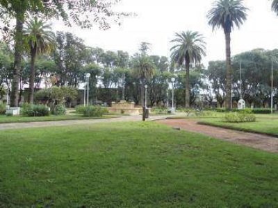 Disparos en Plaza Constituci�n