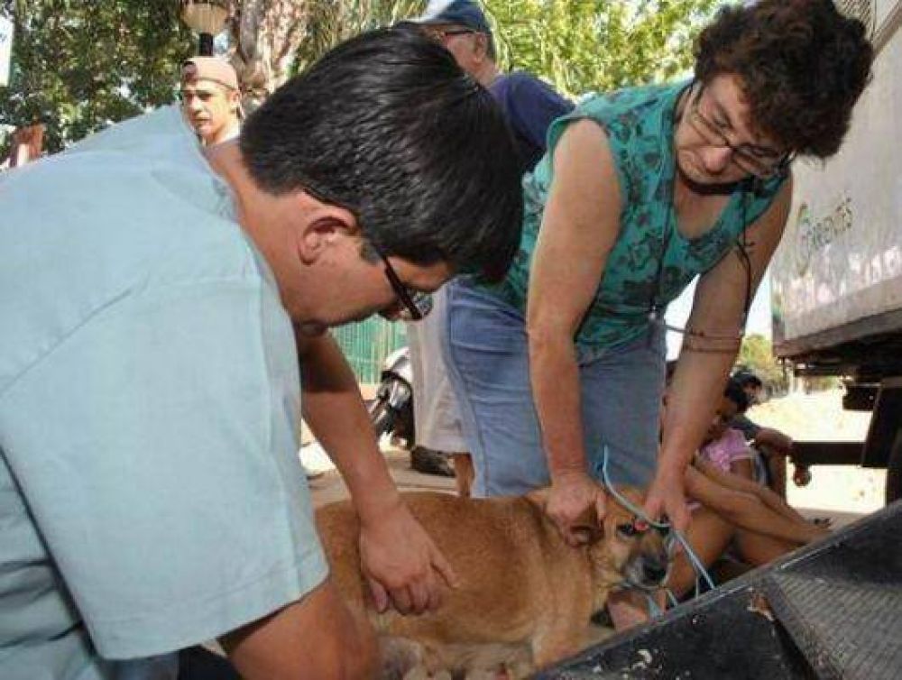 Unas 300 mascotas con vacunas y esterilizaci�n