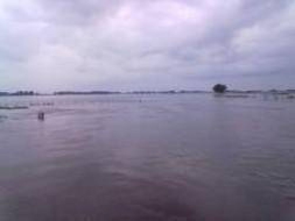 General Alvear: Anegamientos por desborde del arroyo Las Flores