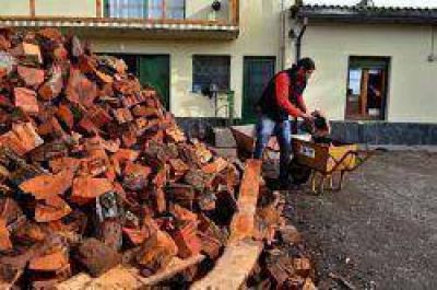  Se inici� entrega en los distintos barrios de la ciudad 