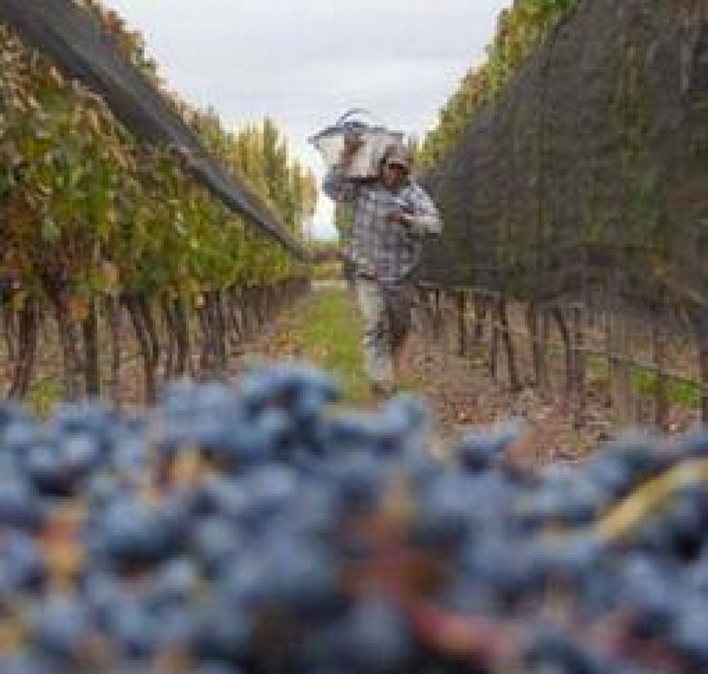 El agro riojano est� inmerso en una profunda crisis econ�mica