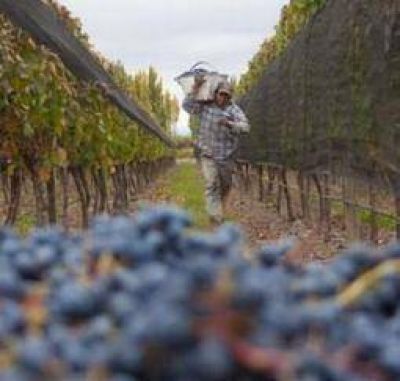 El agro riojano est� inmerso en una profunda crisis econ�mica