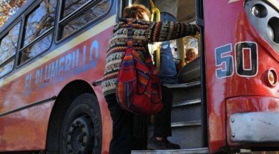 S�lo 1 de cada 10 colectivos tiene rampa o piso bajo