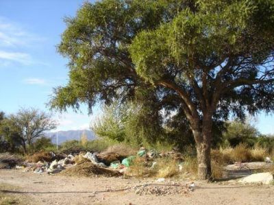 El Ministerio de Medio Ambiente intimar� al municipio capitalino por la forestaci�n abandonada en la zona norte de la ciudad