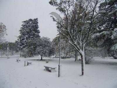 Ayer suspendieron las clases por la nieve en todo Tres Arroyos
