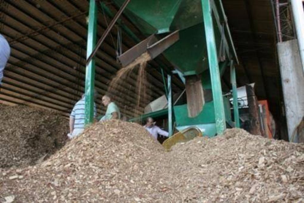 Ya son 68 los secaderos de yerba mate que reemplazar�n la le�a por el chip