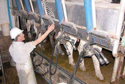 El invierno llegar� con graves problemas para los tambos 