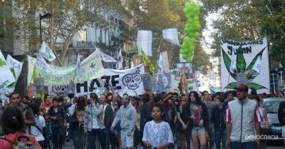 Militantes pro-marihuana de Jun�n piden que les permitan �cultivar tranquilos"