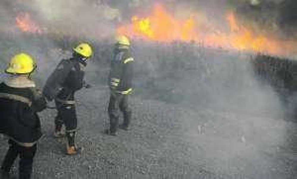 Zonda: hubo incendios en cinco departamentos