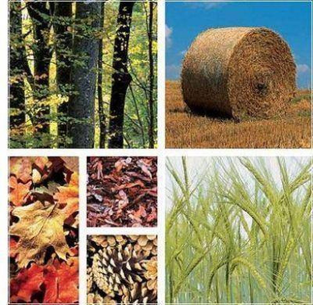 Cadena azucarera trabaja para producir etanol a partir de 2010