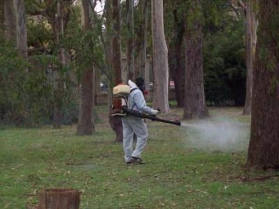 La Plata: Trabajos de fumigaci�n ante la aparici�n de mosquitos 