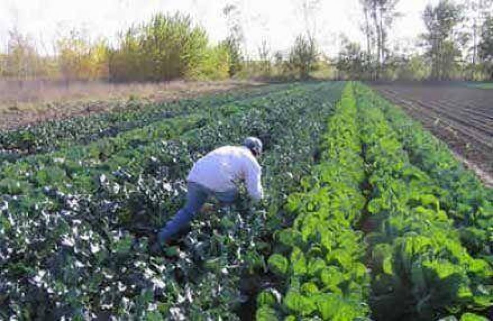 Sol Puntano tambi�n cosecha �xitos
