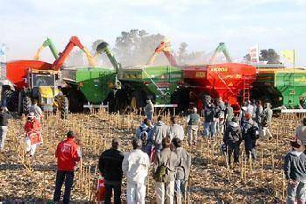 Mucho p�blico, show de �ﬁerros� y concurso de llamas en AgroActiva