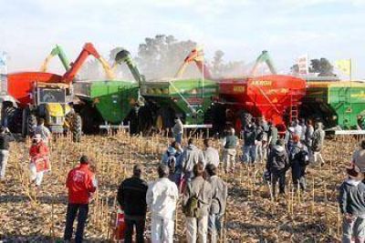 Mucho p�blico, show de �ﬁerros� y concurso de llamas en AgroActiva