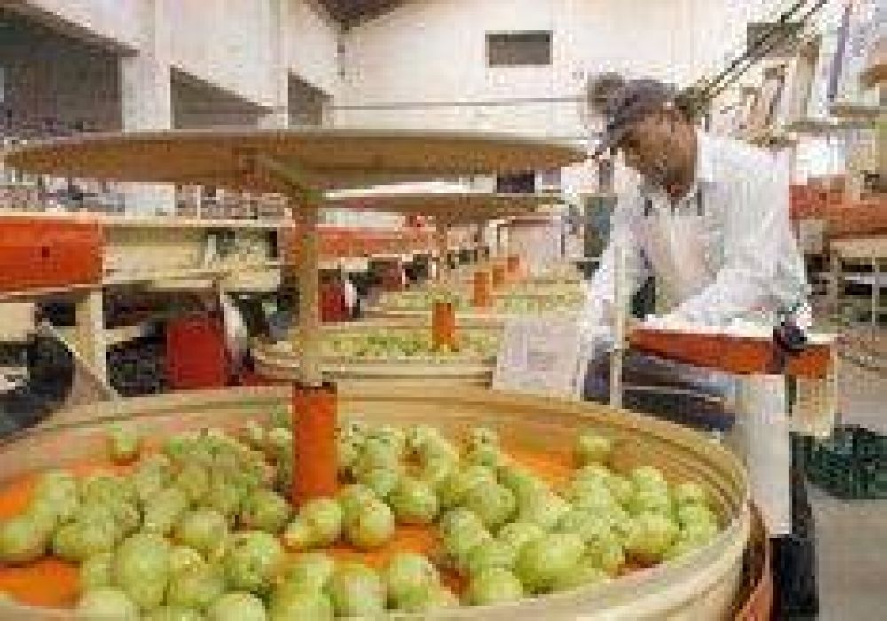 Aumento del 29% para trabajadores de la fruta. 