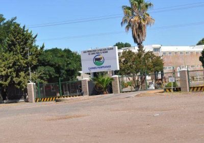 Ofrecen pr�stamo de 20 millones de pesos para Carnes Pampeanas