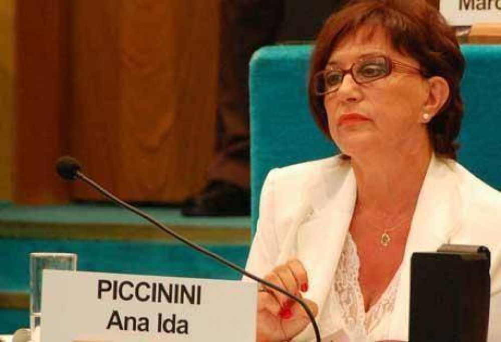 Piccinini: �El gobierno est� bastante alejado de lo que nosotros hab�amos propuesto en la campa�a�
