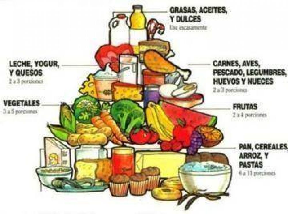 Charla sobre nutrici�n, ma�ana en la Biblioteca Sarmiento