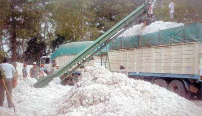 Preocupaci�n de productores del interior por regular cosecha y falta de precios oficiales