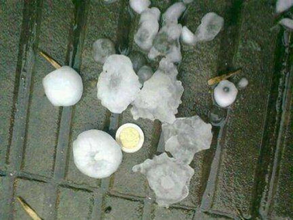 Fuerte tormenta de granizo y torrencial lluvia caus� importantes da�os en Gualeguaych�