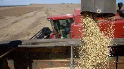 El precio r�cord de la soja moviliza al campo entrerriano