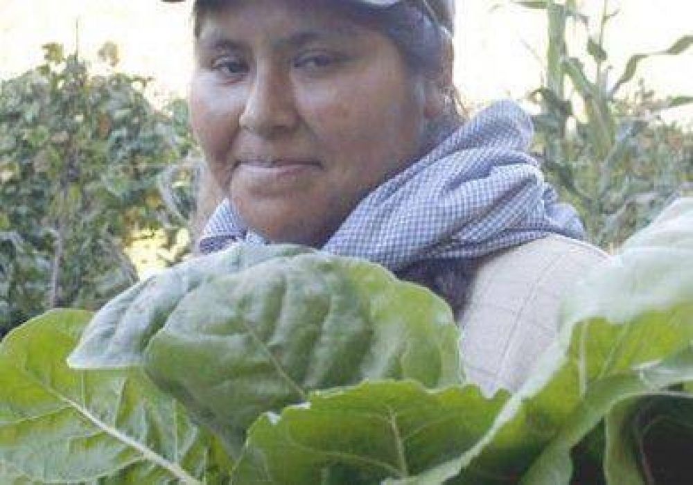 Hay 50 mil bolivianos en la regi�n.