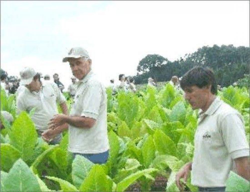 Desde Goya sostienen que son la �capital de la pobreza del tabaco�.