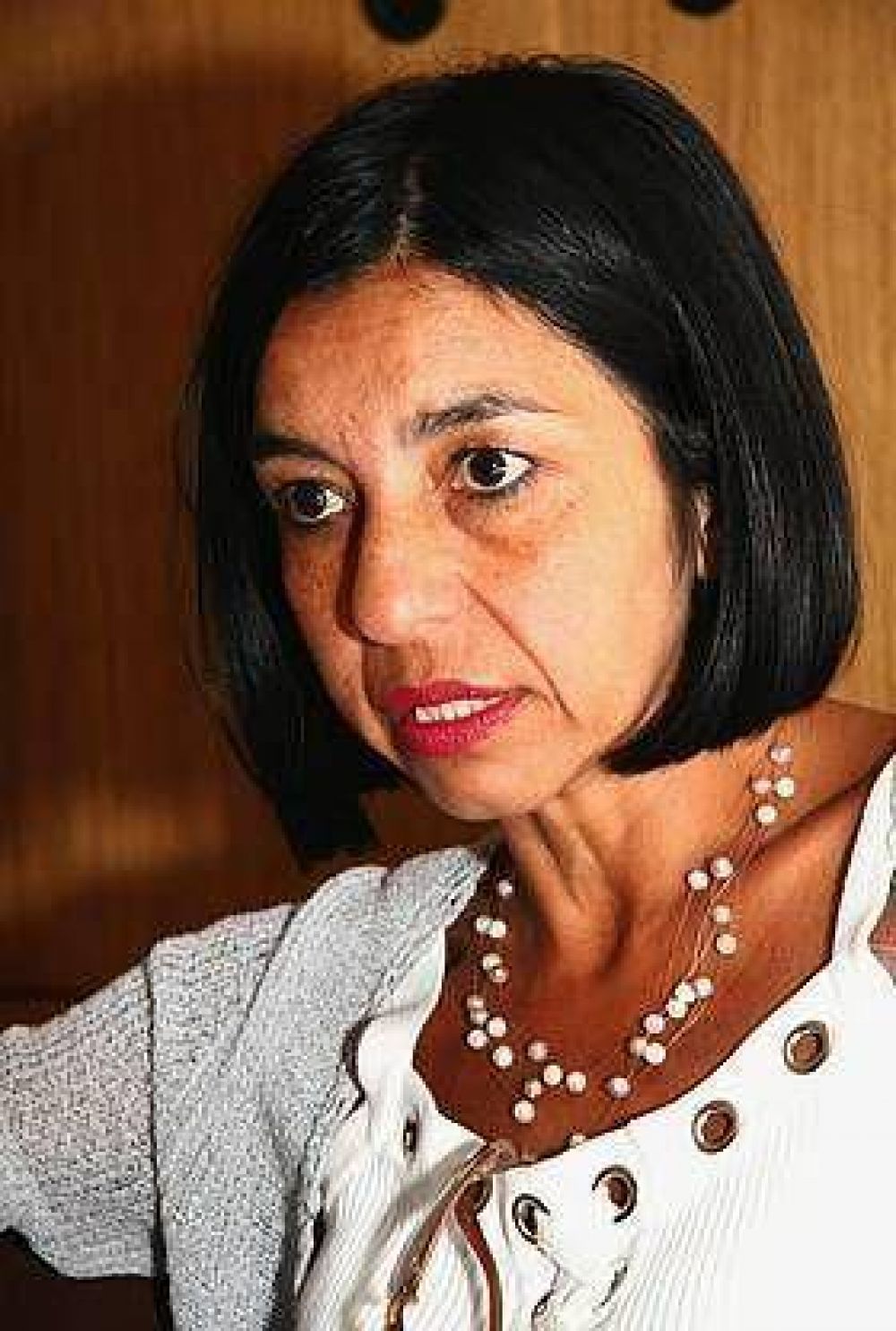 La subsecretaria de Ingresos P�blicos de Santa Fe asegur� que la provincia no adherir� a la ley de blanqueo de capitales